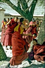 Tibet (221 von 257).jpg